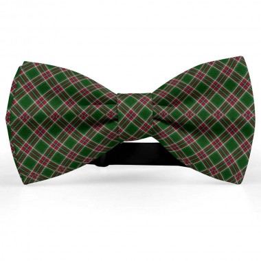 Papion personalizat, model carouri, culori specifice Craciunului, verde, rosu
